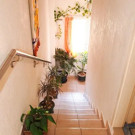 Apartments Pomalo *